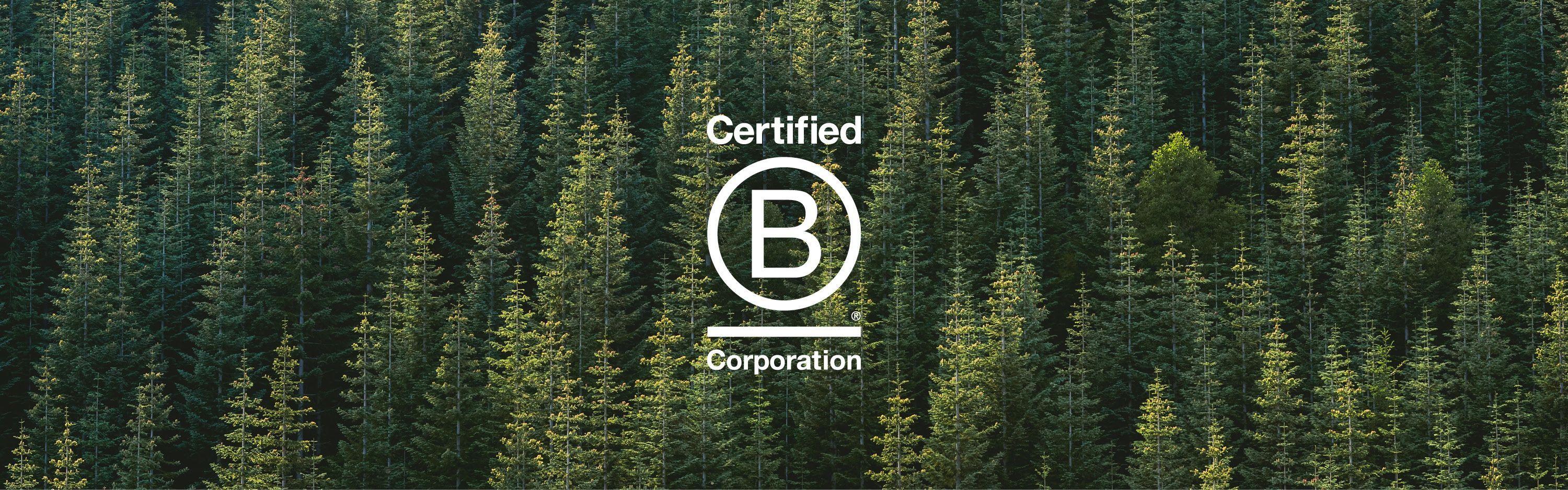 A picture of a forest with the logo of Bcorp