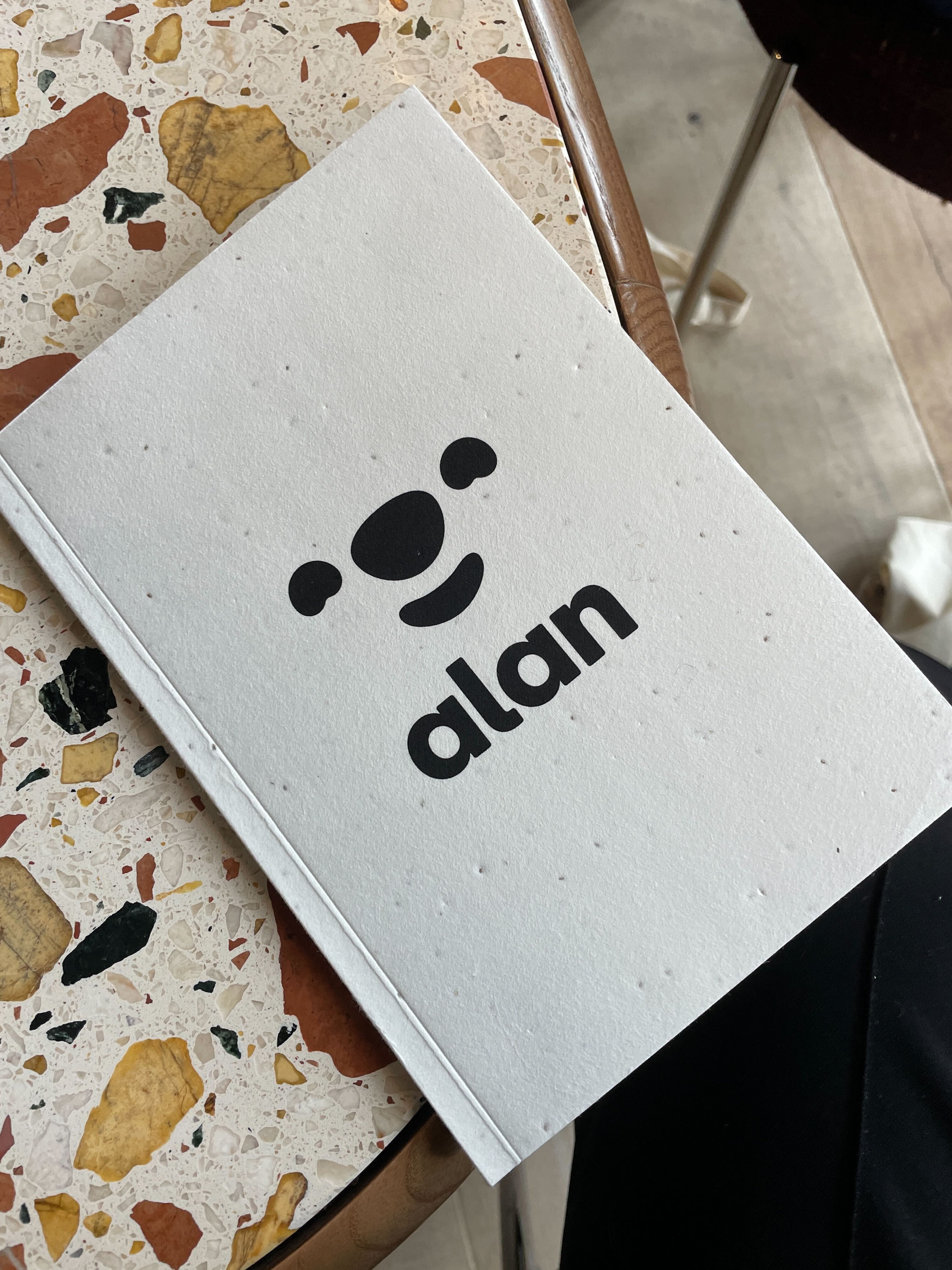 Alan_1_e9a4f93d23.jpg