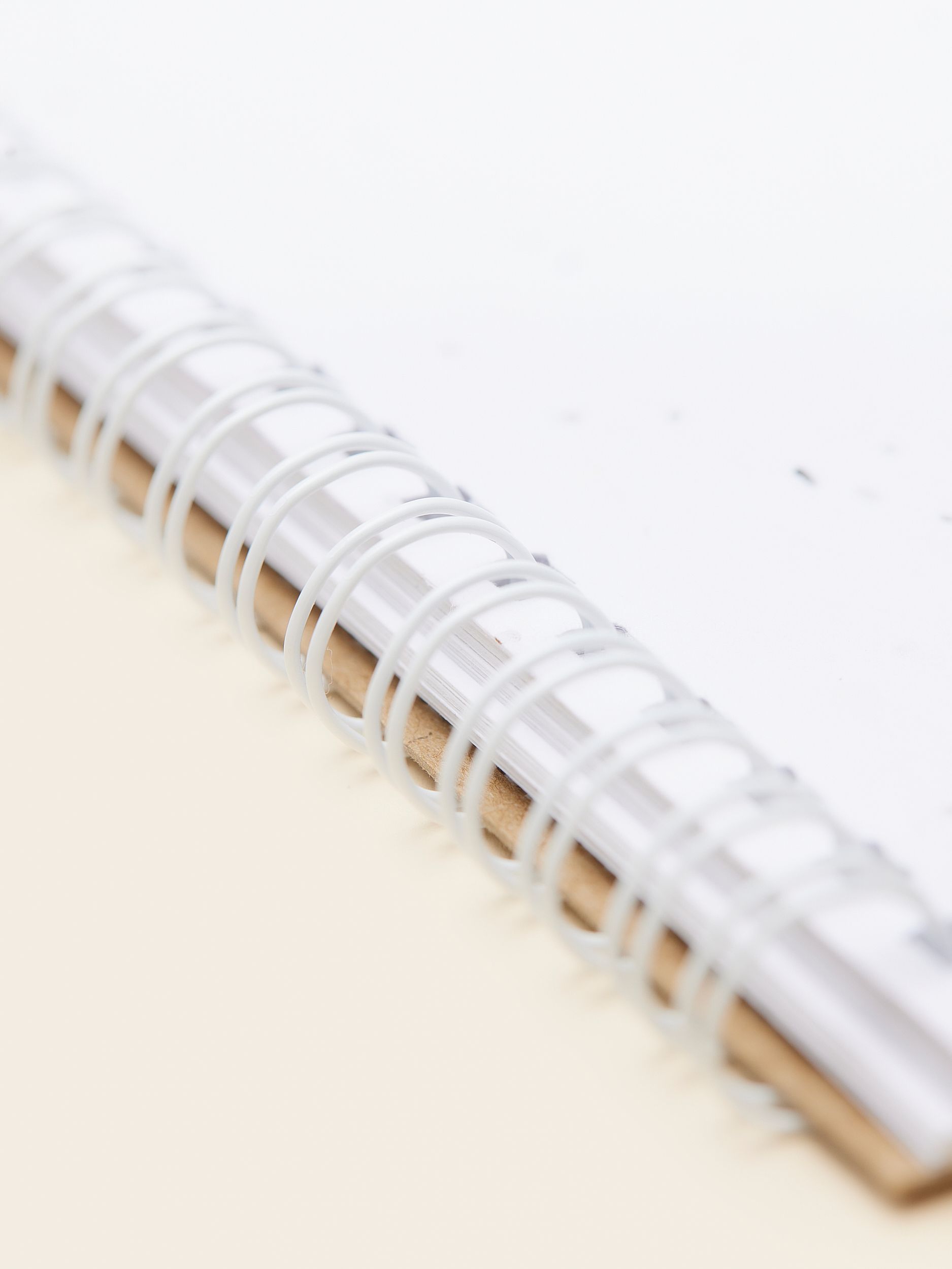 Seed_paper_notebook_MERCHERY_SEPT_24_4539_Details_2_1_2a92260983.jpg