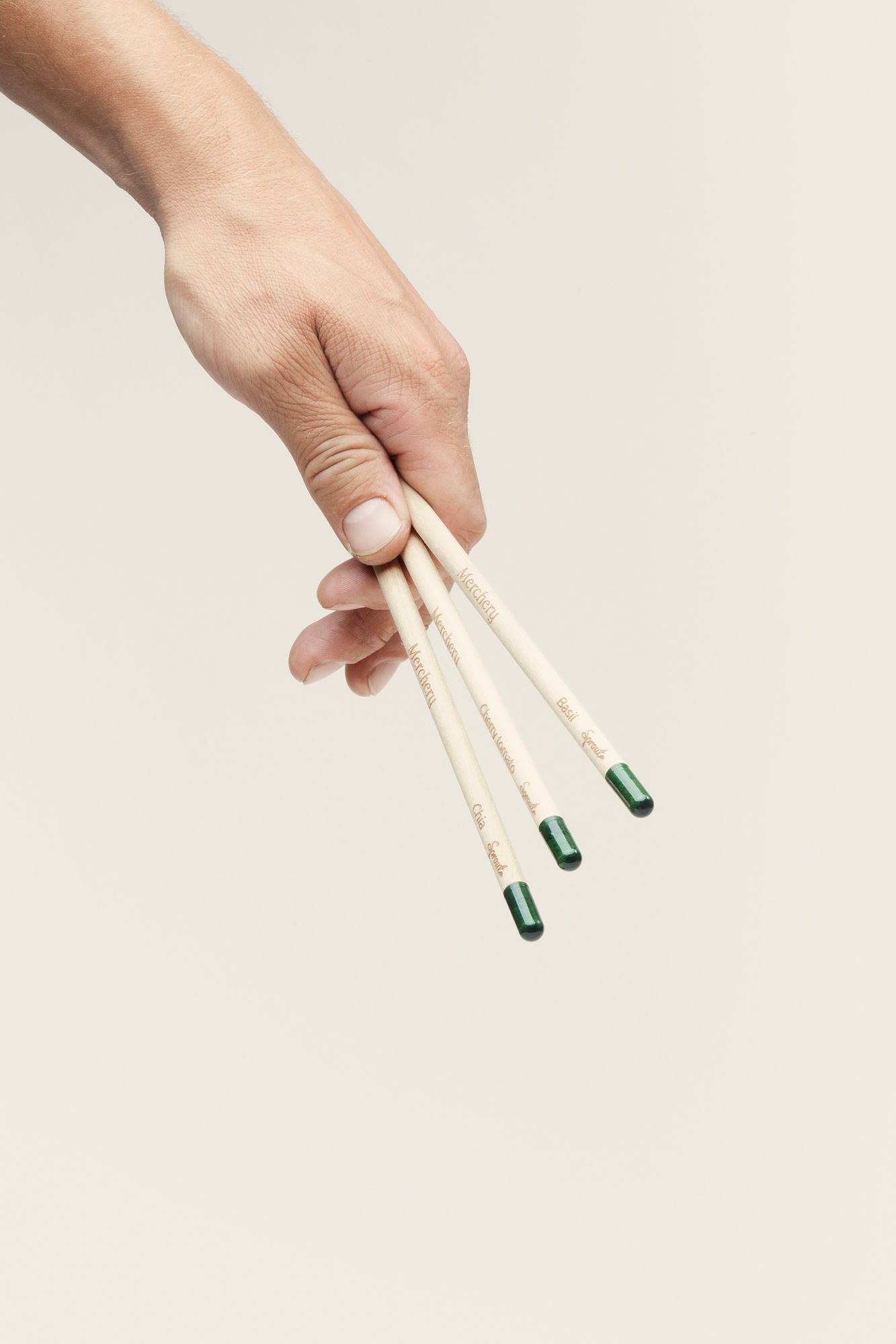 sprout-pencil_MERCHERY3745.jpg