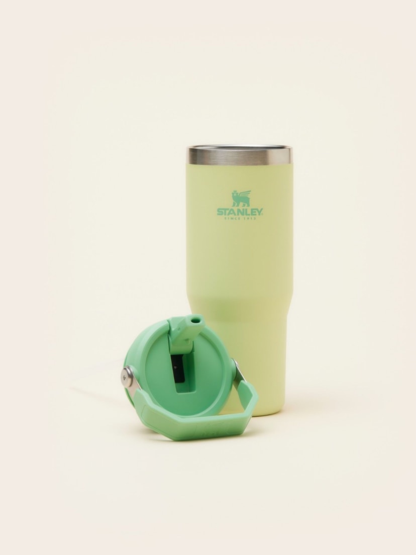 Stanley flip straw tumbler