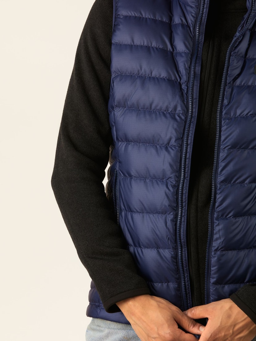Patagonia down sweater vest