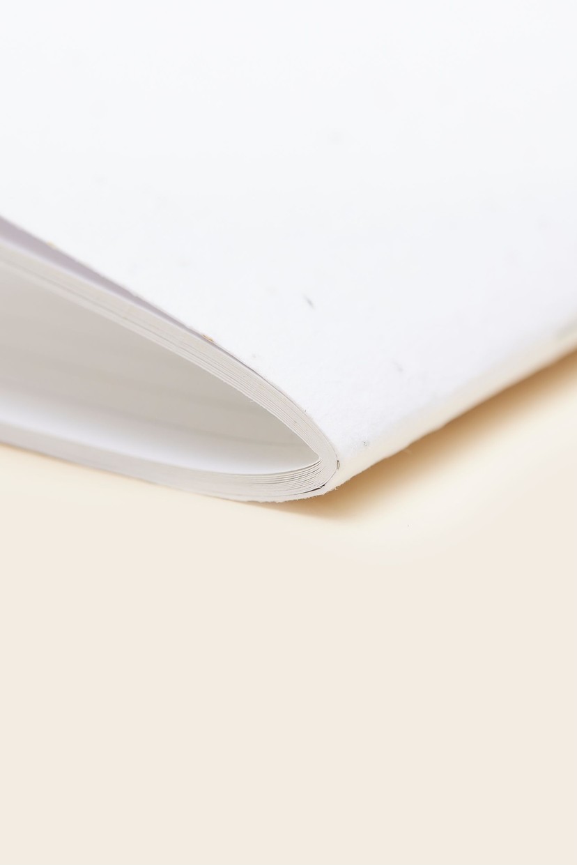 Seed paper notebook