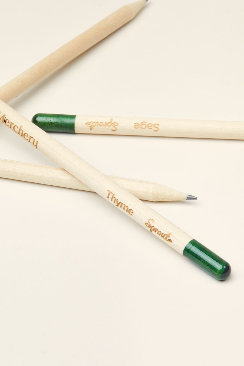Sprout pencil
